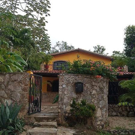 Casa Mango Acomodação com café da manhã Tulum Exterior foto