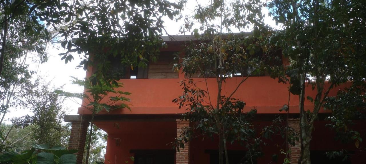 Casa Mango Acomodação com café da manhã Tulum Exterior foto