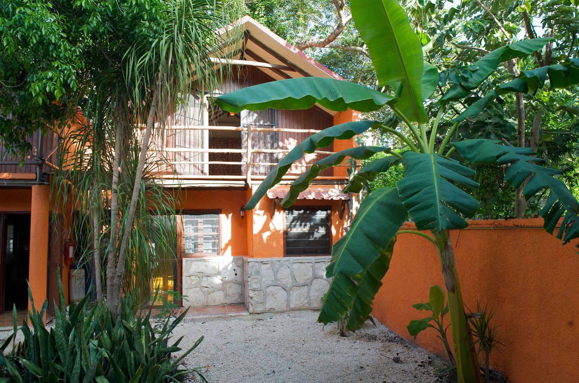 Casa Mango Acomodação com café da manhã Tulum Exterior foto